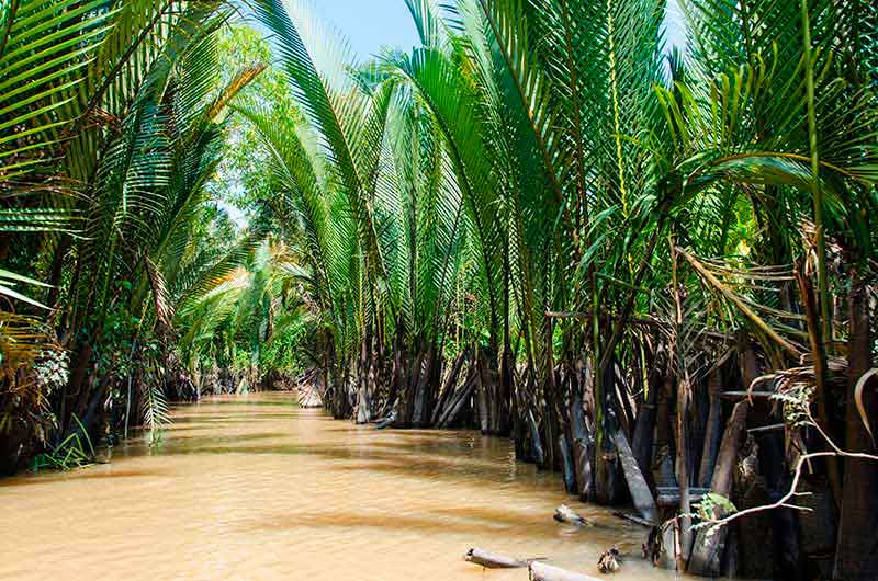 51 - Vietnam - delta del Mekong